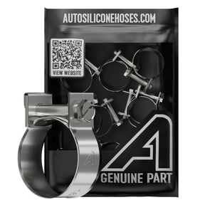 Assorted Mini Hose Clips W4 Stainless Steel